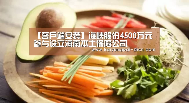【客户端安装】海峡股份4500万元参与设立海南本土保险公司(图1) 开元棋牌下载下载中心