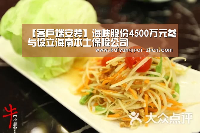 【客户端安装】海峡股份4500万元参与设立海南本土保险公司(图2) 访问体验
