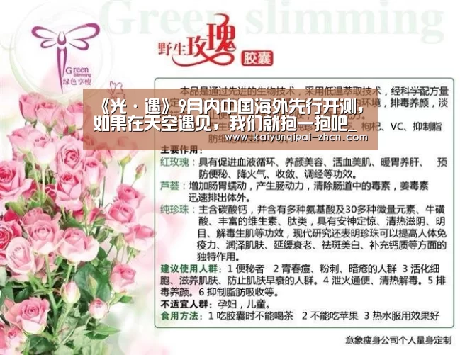 《光·遇》9月内中国海外先行开测,如果在天空遇见,我们就抱一抱吧_应用获取(图2) 访问体验