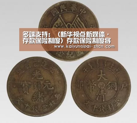 多端支持:(新华视点新媒体·存款保险制度)存款保险制度将启动:中国人的百万亿存款“遇险”应当怎样赔?(图4) 客户端安装