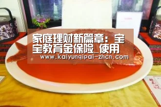 家庭理财新篇章:宝宝教育金保险_使用教程(图2) 客户端安装