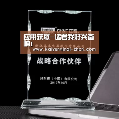 应用获取-诸君我好兴奋呐!(图1) 应用获取