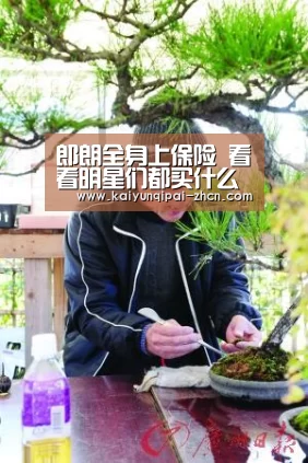 郎朗全身上保险 看看明星们都买什么价位的保险_开元棋牌下载下载中心(图3) 使用教程
