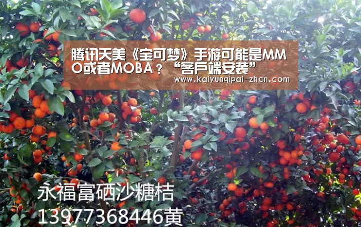 腾讯天美《宝可梦》手游可能是MMO或者MOBA?“客户端安装”(图2) 多端支持