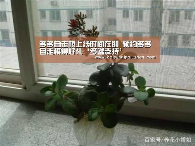 多多自走棋上线时间在即 预约多多自走棋得好礼‘多端支持’(图1) 访问体验