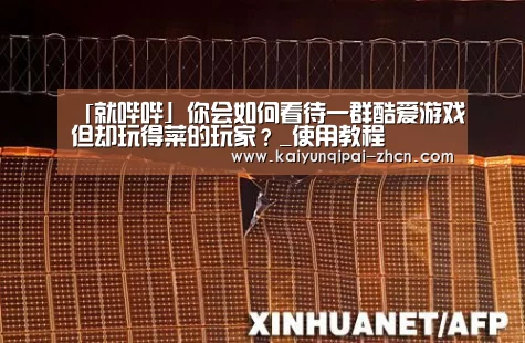 「就哔哔」你会如何看待一群酷爱游戏但却玩得菜的玩家?_使用教程(图1) 访问体验